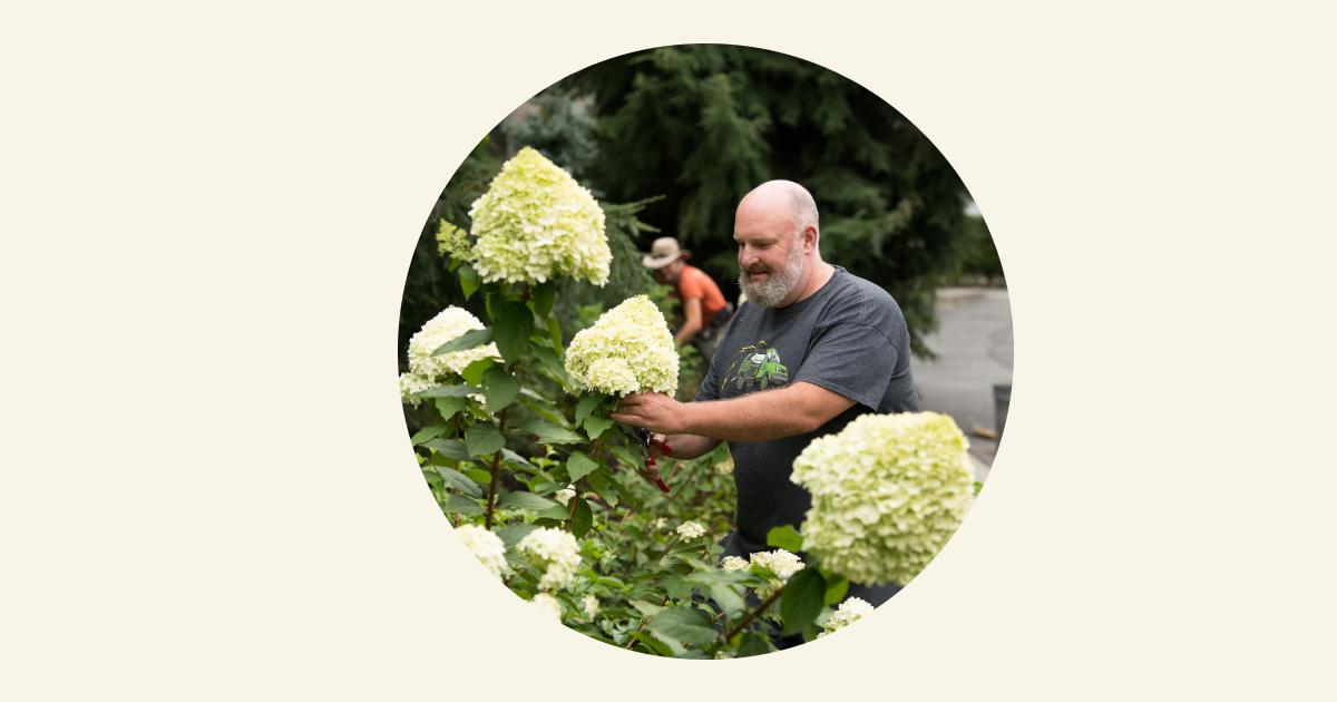 Business Operating Line of Credit Vancity