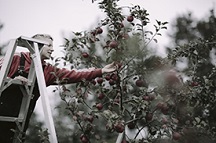 Local, natural and organic food